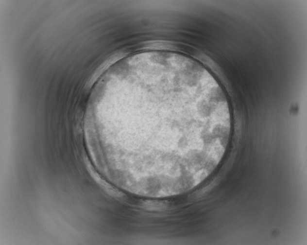 X0000112091049200909151132