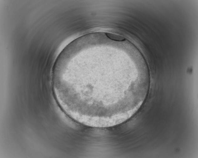 X0000112091050200909151132