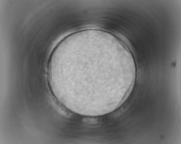 X0000112091051200909151132