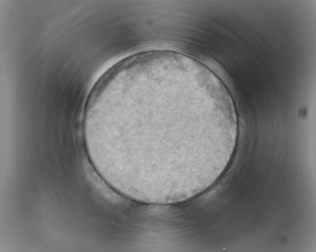 X0000112091052200909151132
