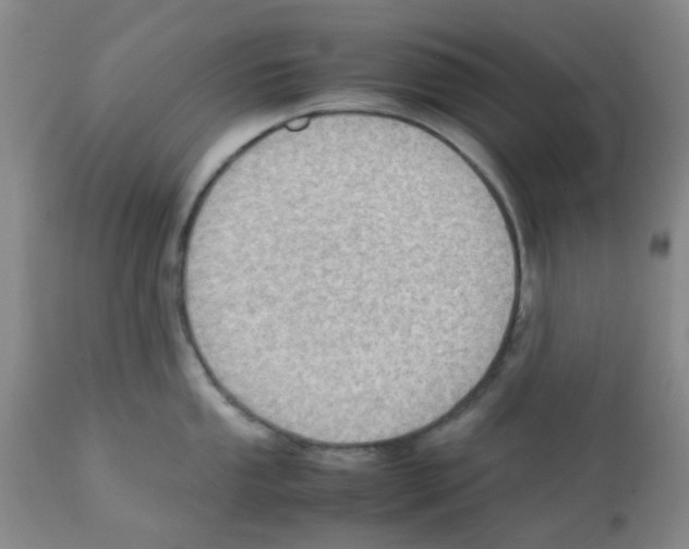 X0000112091053200909151132