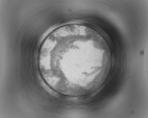 X0000112091054200909151132