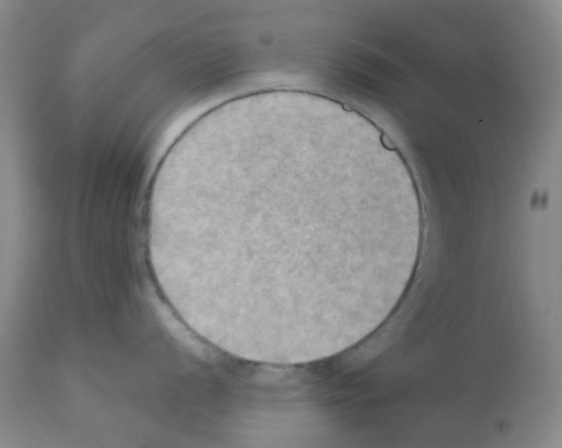 X0000112091056200909151132
