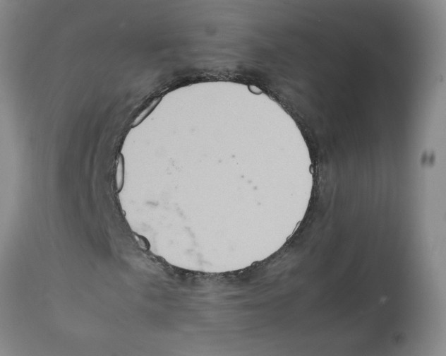 X0000112091057200909151131
