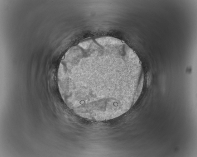 X0000112091059200909151131