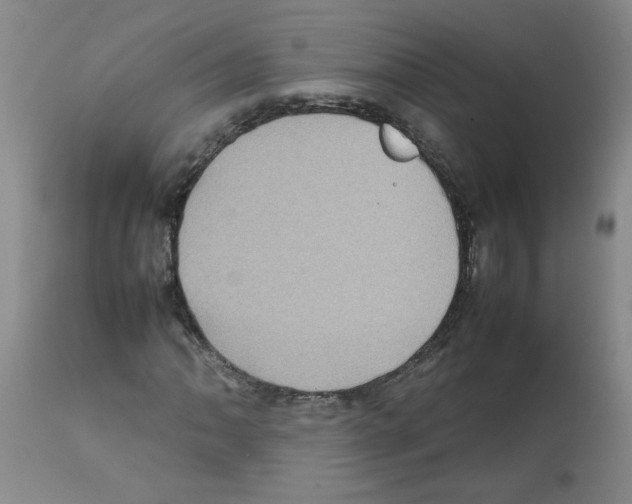 X0000112091062200909151131