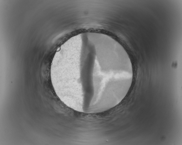 X0000112091063200909151131