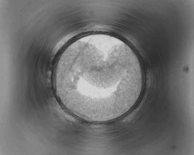 X0000112091066200909151131