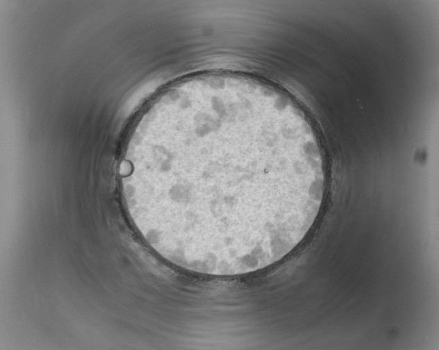 X0000112091067200909151131