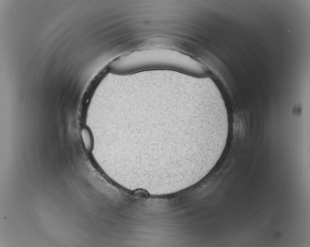 X0000112091068200909151131