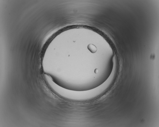 X0000112091069200909151131