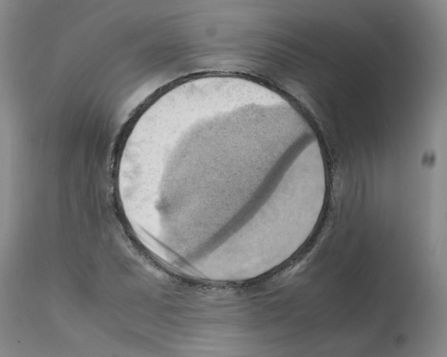 X0000112091071200909151131