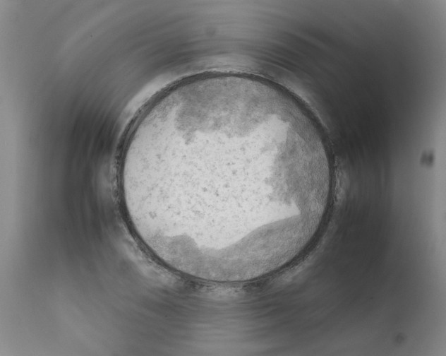 X0000112091074200909151131
