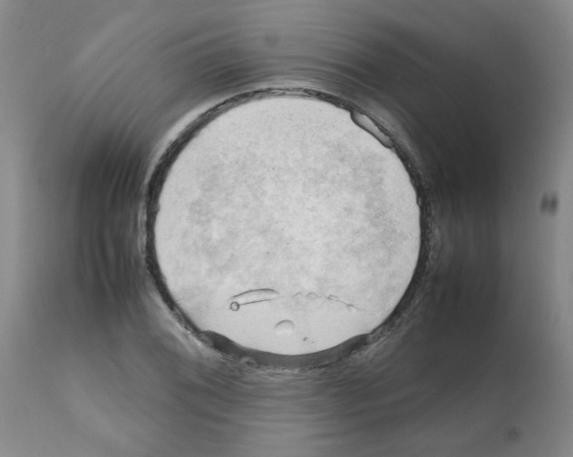 X0000112091076200909151131