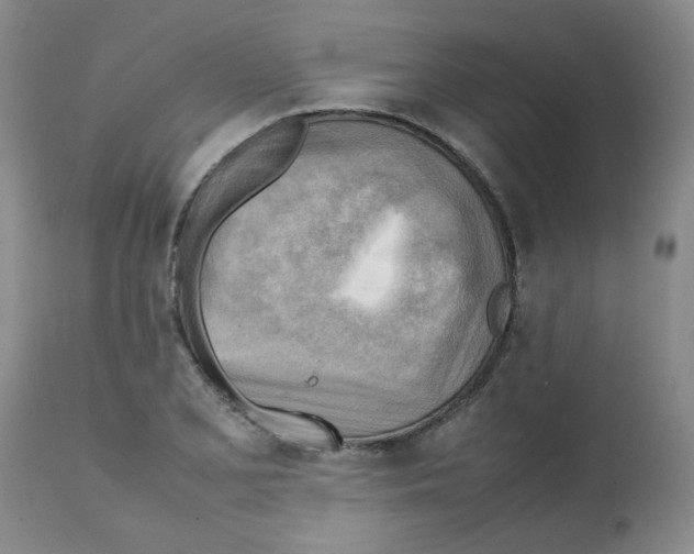 X0000112091077200909151131