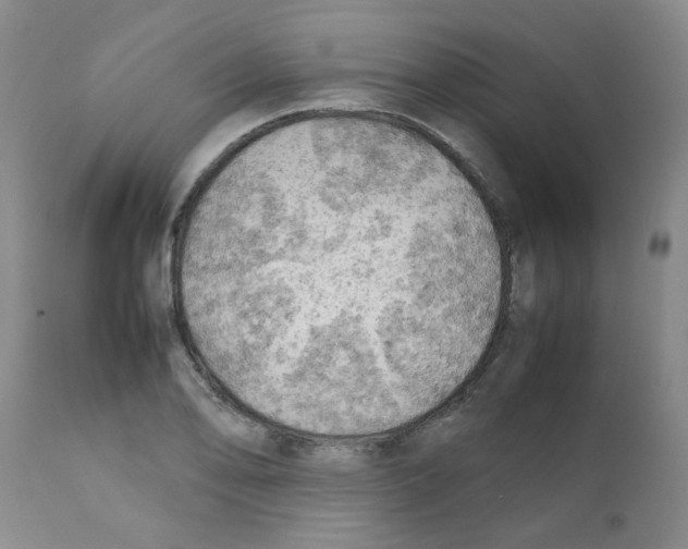 X0000112091078200909151131
