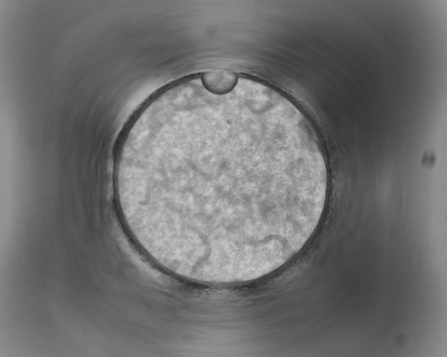X0000112091079200909151131