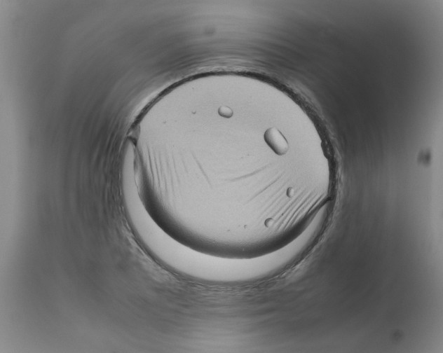 X0000112091081200909151131