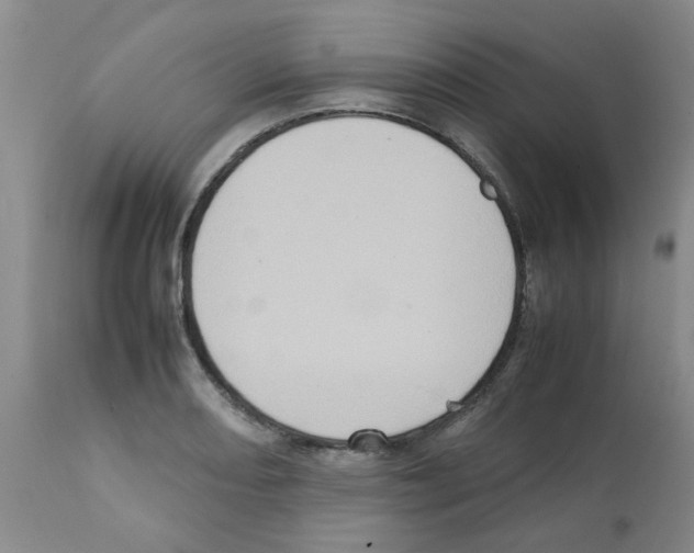 X0000112091082200909151131