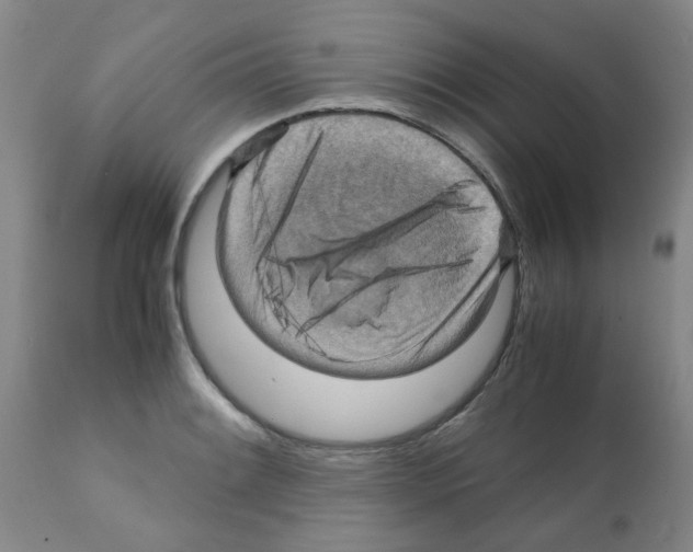 X0000112091084200909151131