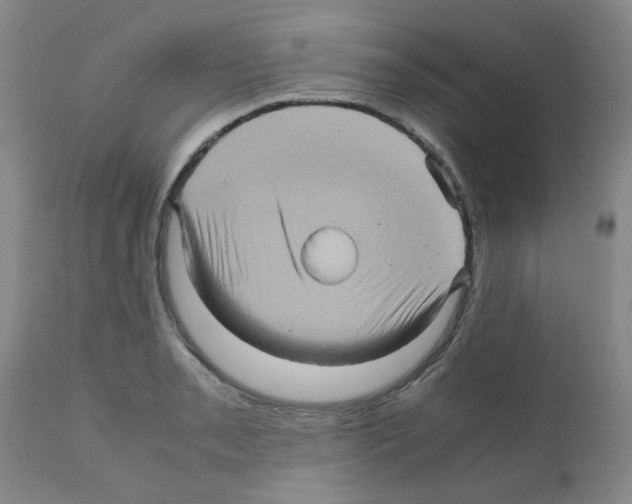 X0000112091085200909151131