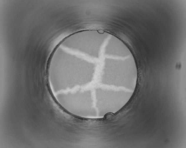 X0000112091087200909151131