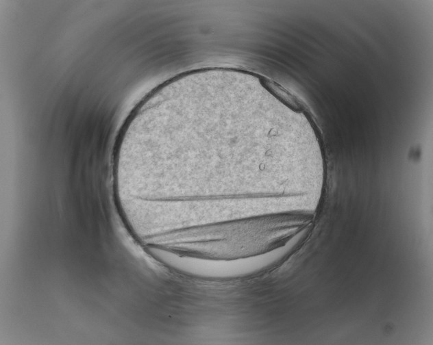 X0000112091088200909151131