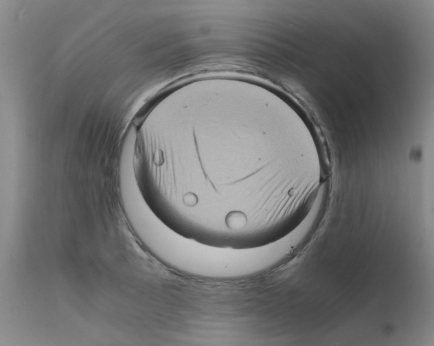 X0000112091089200909151131