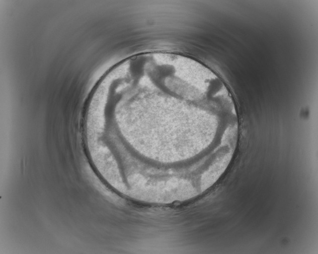 X0000112091091200909151131
