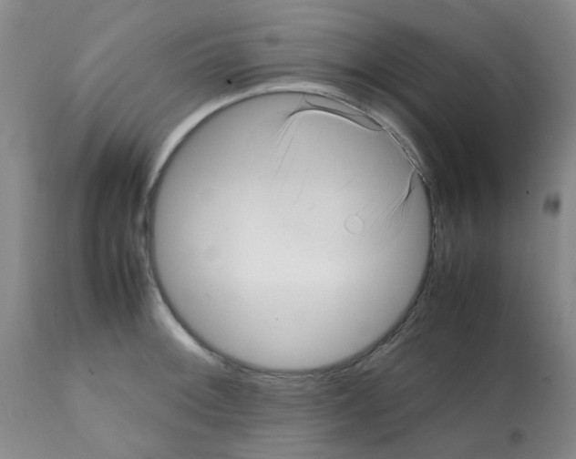 X0000112091092200909151131