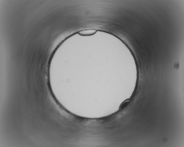 X0000112091093200909151131