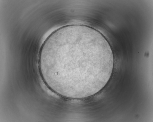 X0000112091094200909151131