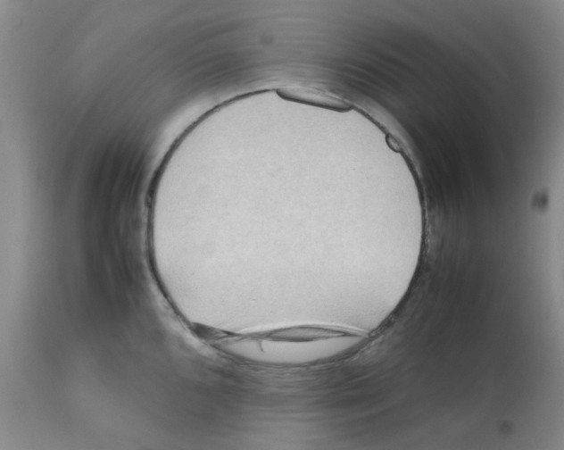 X0000112091096200909151131