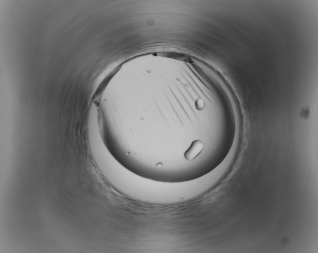 X0000112091097200909151131