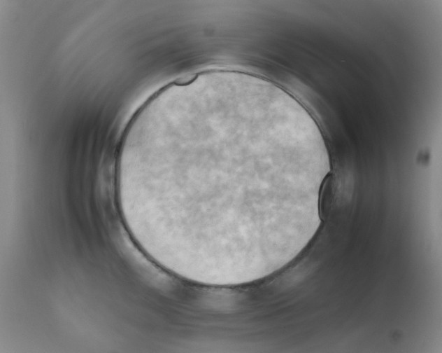 X0000112091100200909151130