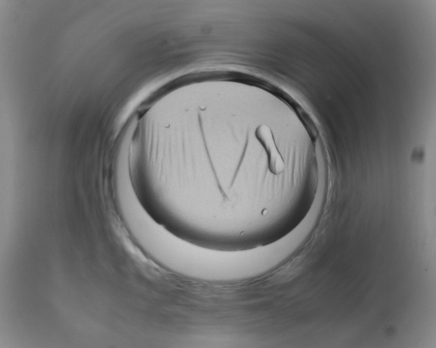 X0000112091101200909151130