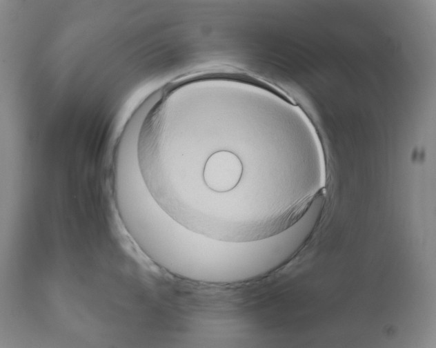 X0000112091104200909151130