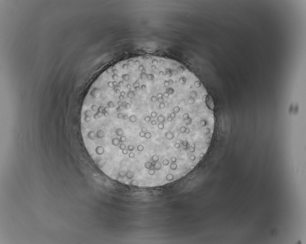 X0000112091105200909151130