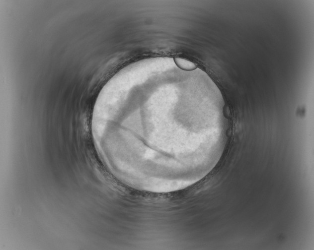 X0000112091106200909151130