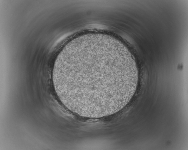 X0000112091112200909151130