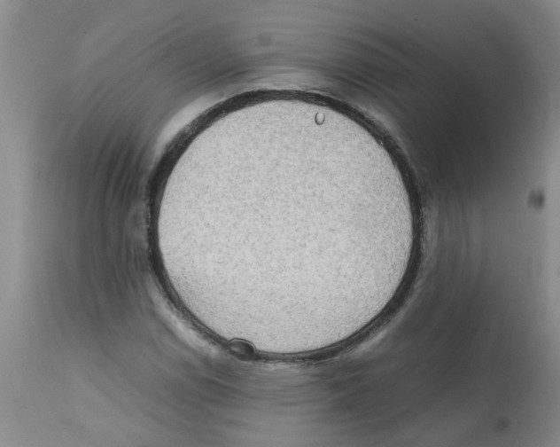 X0000112091114200909151130