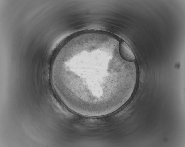 X0000112091115200909151130