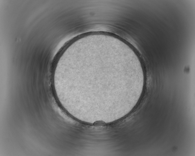 X0000112091116200909151130