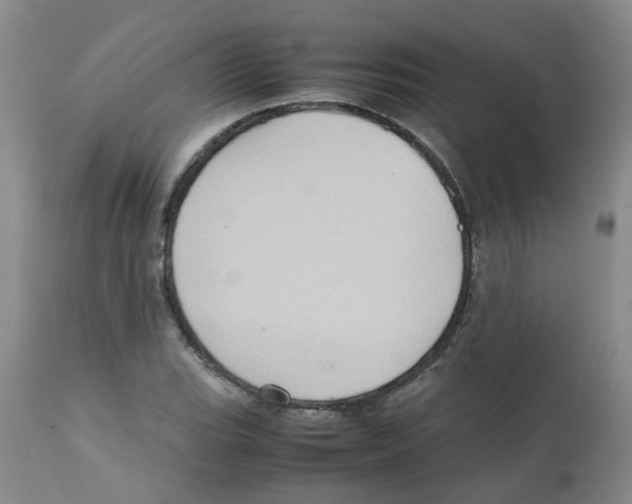 X0000112091119200909151130