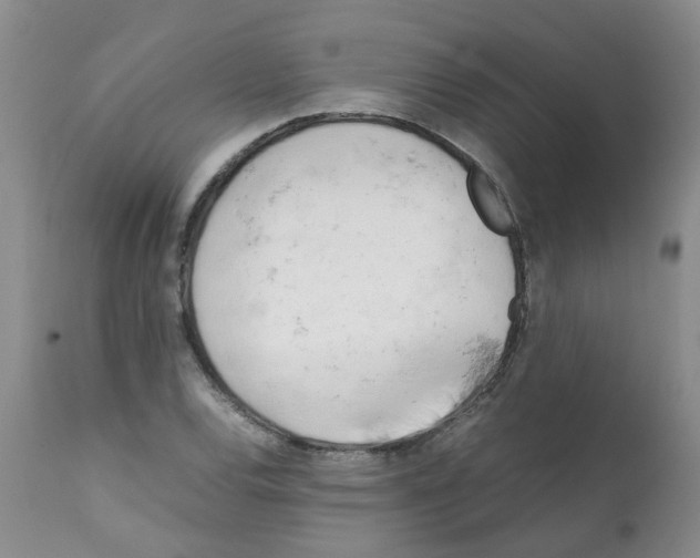 X0000112091120200909151130