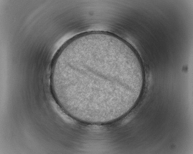 X0000112091124200909151130