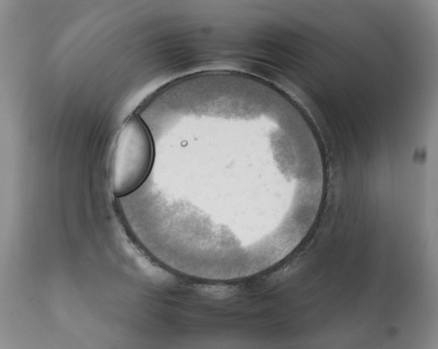 X0000112091127200909151130