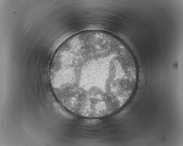 X0000112091129200909151130