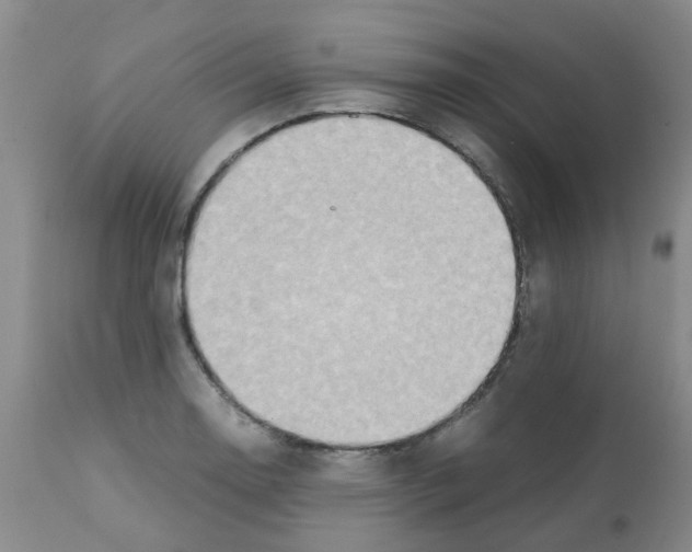 X0000112091130200909151130
