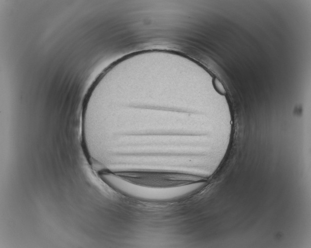 X0000112091132200909151130